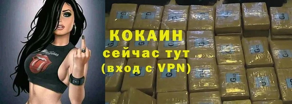ПСИЛОЦИБИНОВЫЕ ГРИБЫ Карталы