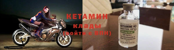 шишки Верея