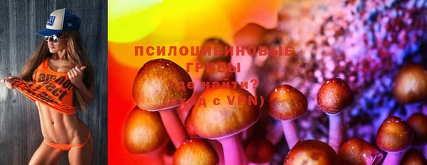 мяу мяу мука Нея