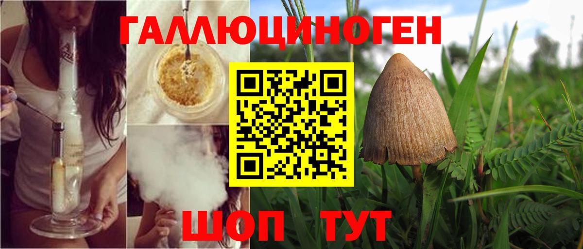 Ессентуки  Псилоцибиновые грибы GOLDEN TEACHER  где продают наркотики  Вход с VPN 